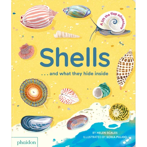 Shells... and What They Hide Inside: A Lift-The-Flap Adventure