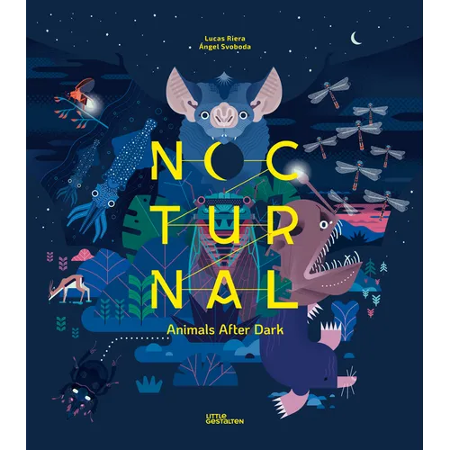 Nocturnal: Animals After Dark