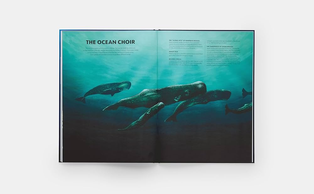 Mysteries of Marine Mammals