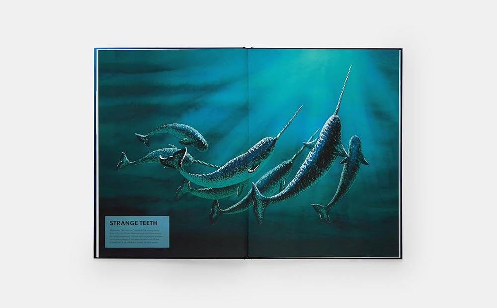 Mysteries of Marine Mammals