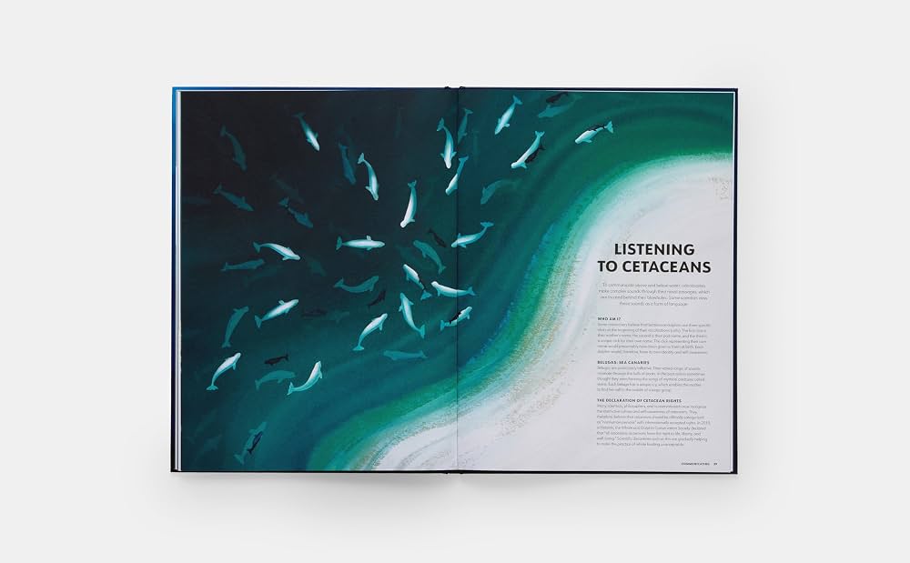 Mysteries of Marine Mammals