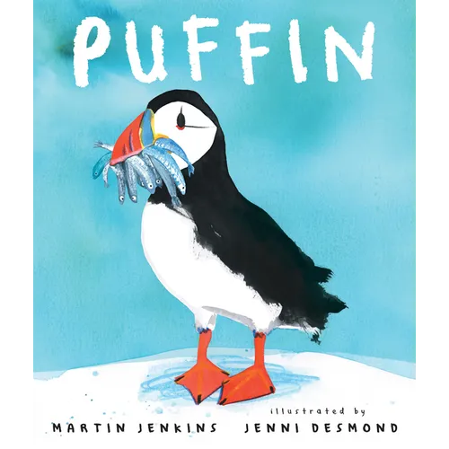 Puffin