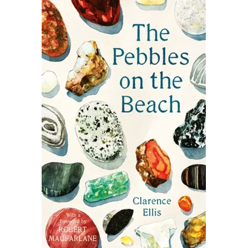 The Pebbles on the Beach