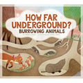 How Far Underground?: Burrowing Animals