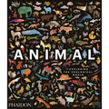 Animal: Exploring the Zoological World