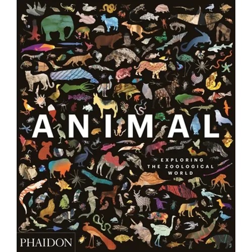 Animal: Exploring the Zoological World